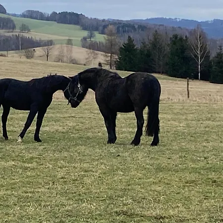 公寓 Bauernhofurlaub Auf Der Hedwigshoehe *