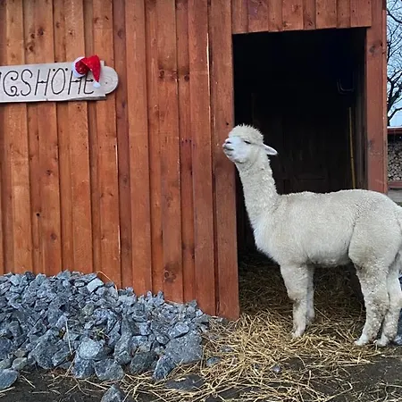 公寓 Bauernhofurlaub Auf Der Hedwigshoehe